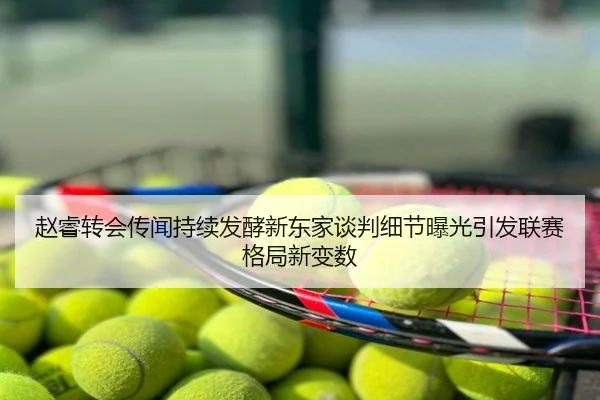 赵睿转会传闻持续发酵新东家谈判细节曝光引发联赛格局新变数